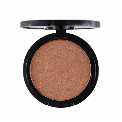 _ Poudre Compacte Highlighter BRUN FROID 9g