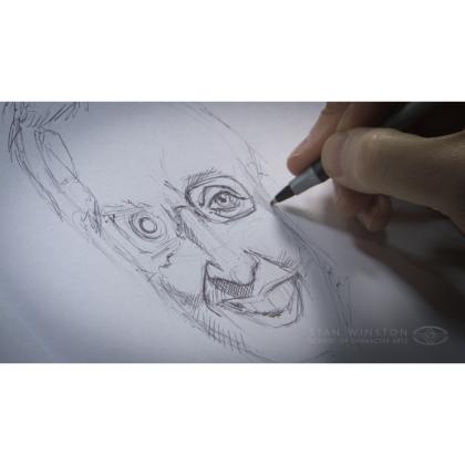 DVD Terry Wolfinger : Portrait Illustration - Part 1 - Pencil Drawing Techniques