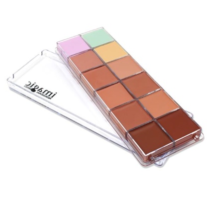 Palette de 12 Correcteurs de Teint 48g + Pinceau de maquillage