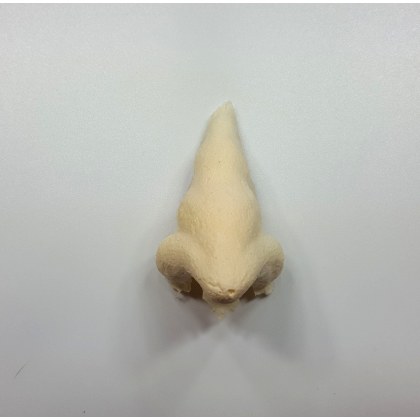 Nez de Gnome 2 - Prothèse en mousse de latex