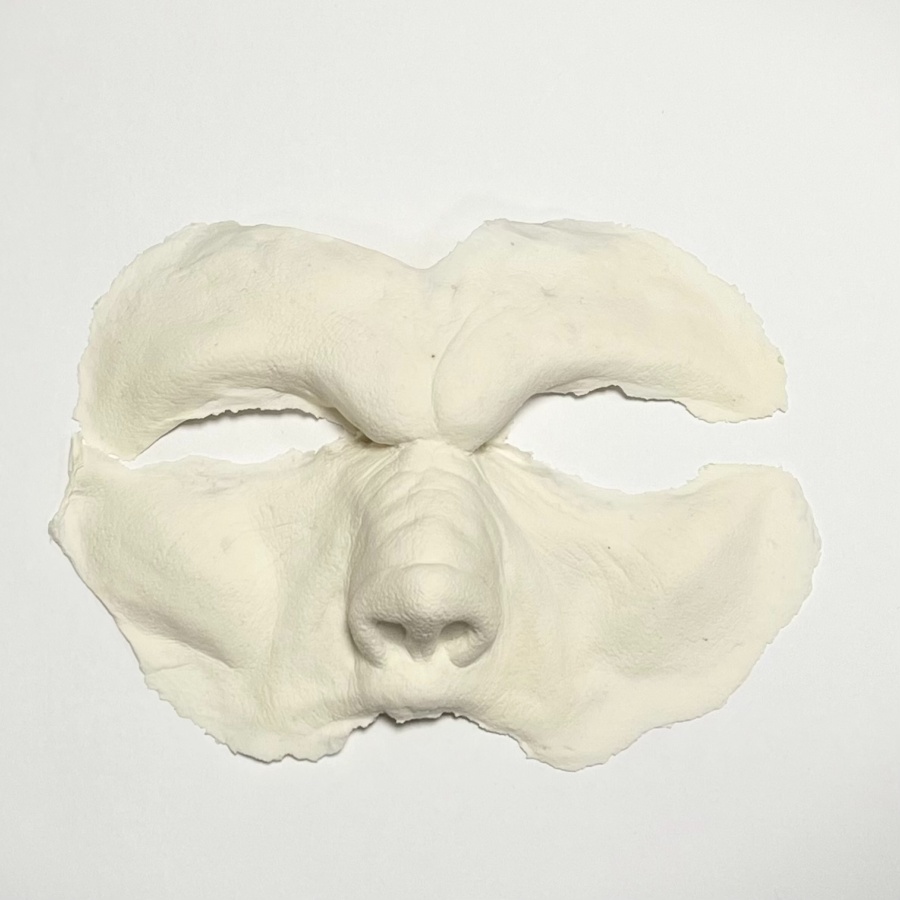Masque de Loup Garou Werewolf 2 - Prothèse en mousse de latex