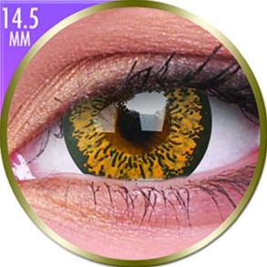 Lentilles Big Eyes 14,5mm - 1 mois - Baby Brown