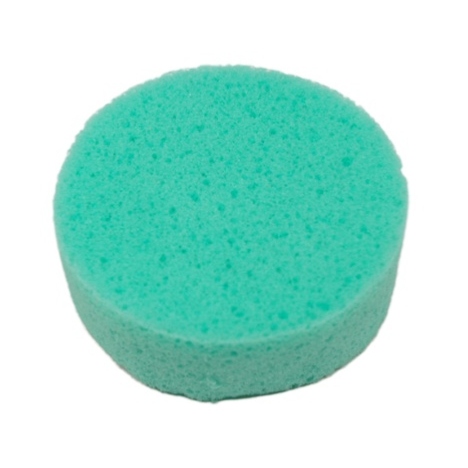 Éponge en Mousse