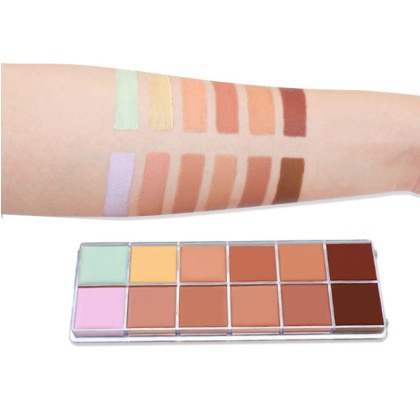 Palette de 12 Correcteurs de Teint 48g + Pinceau de maquillage