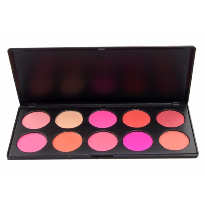 Palette de 10 Blush Professionnels 204g