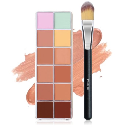 Palette de 12 Correcteurs de Teint 48g + Pinceau de maquillage