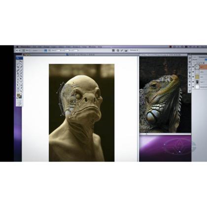 DVD Casey Love : Creature Design - Practical to Digital