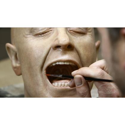 DVD Jamie Grove :  Silicone Painting: Realistic Flesh Tones