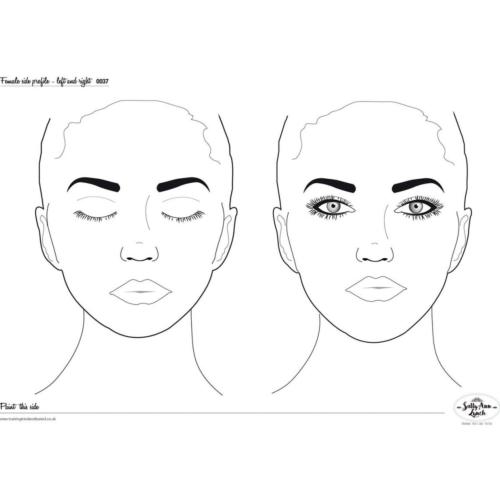 FaceChart en plastique transparent A3 SALLY ANN LYNCH