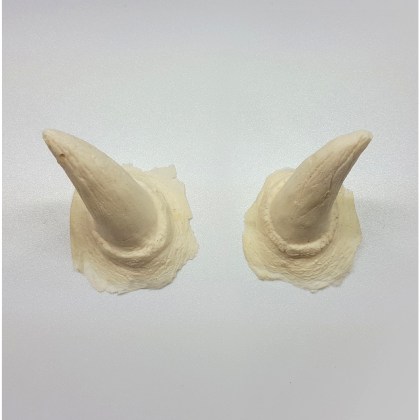 Cornes 1 - Prothèse en mousse de latex