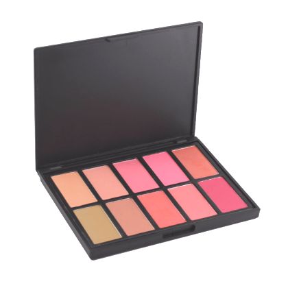 Palette de 10 Blush 152g