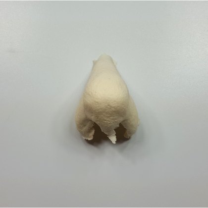 Nez de Gnome 1 - Prothèse en mousse de latex
