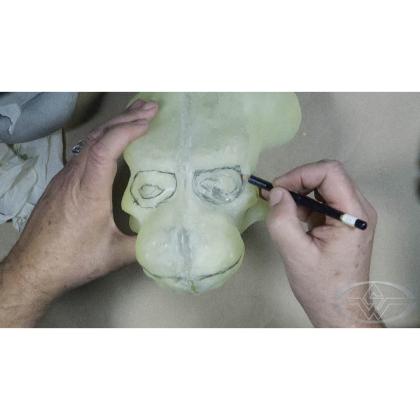 DVD Craig Caton-Largent : How to build an animatronic head. Pt. 2