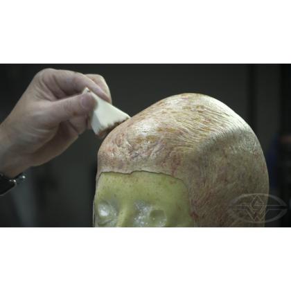 DVD Bruce Spaulding Fuller : Painting Prosthetic Makeup Appliances - Foam, Latex, Silicone