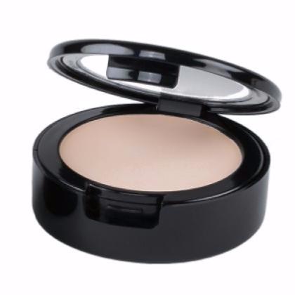 Correcteur Perfect Concealer 4g