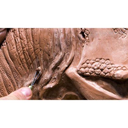 DVD Chris Darga : How to Sculpt a Dinosaur Part 2