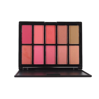 Palette de 10 Blush 152g